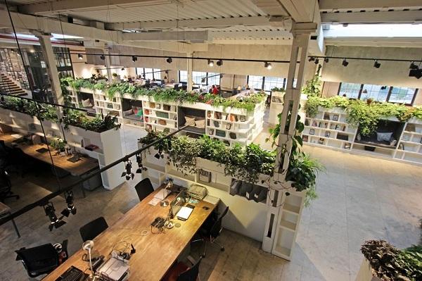 Cách thiết kế nội thất văn phòng phù hợp với môi trường làm việc